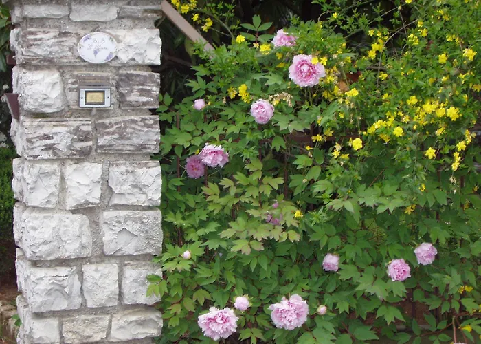 B&B Il Glicine